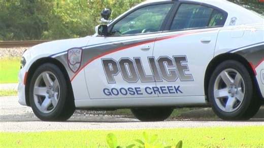 Police respond to reported shooting call at Goose Creek Walmart