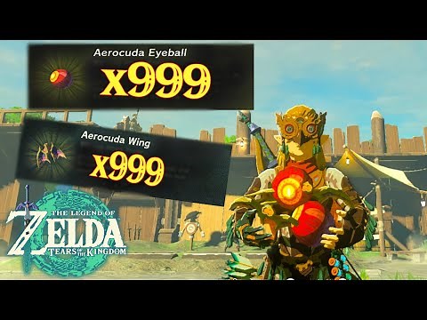 Where to find Aerocuda Eyeballs and Wings in Zelda Tears of the Kingdom 👁️