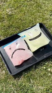 1.6M views · 781 reactions |  EMOTION BAGS SCIENCE EXPERIMENT ...