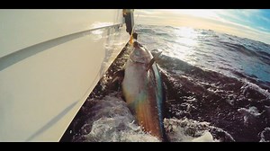 3.7K views · 45 reactions | 22 charter angling vessels are set to...