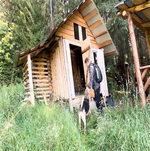 My dog Hugo and I went on a one-day adventure to an abandoned Siberian log cabin | Building Skills | Facebook
