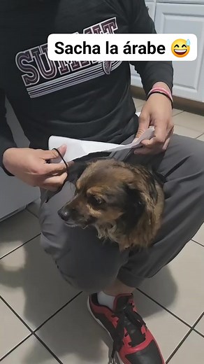 Sacha la árabe #arabe #trend | Jonathann González