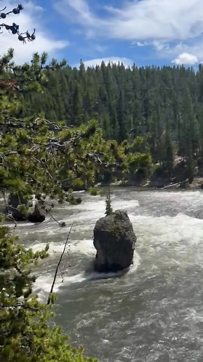 Randall Greene on Reels