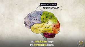 Pat Ogden, PhD, shares one way she helped a war veteran mitigate the rage that was hijacking his nervous system. Pat's client, a veteran, struggled with bouts of rage that would quickly surge through his body and leave him at a loss for control. What Pat soon discovered was that the client was suffering from an incomplete trauma response. And this action remained stuck in his body. To work with this, Pat had the client experience a rageful episode in their session. But she made one vital change 