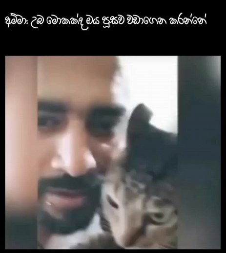 505K views · 3.6K reactions |  | Love is the Answer | Facebook