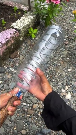 Easy tips for picking fruit using used bottles #Gardening #garden #berkebun