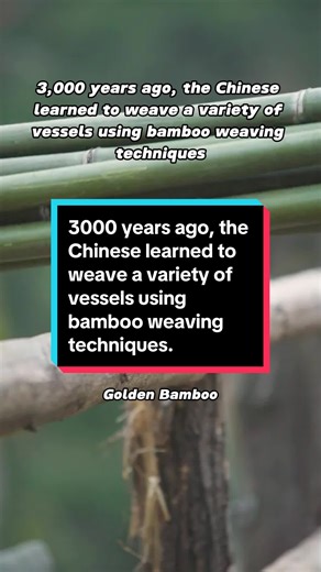 3000 years ago, the Chinese learned to weave a variety of vessels using bamboo weaving techniques.#culture #handcraft #handwork #fyp #foryou #ancient #china #chineseculture