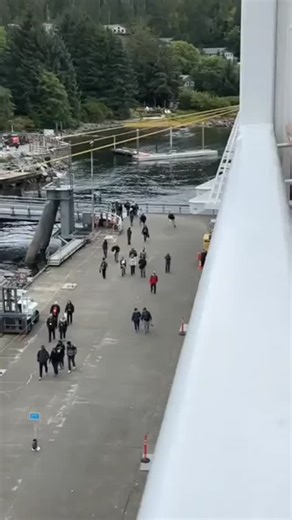 mimis.paige on Instagram: "Bee Movie is a 2007 American animated comedy film produced by DreamWorks Animation and Columbus 81 Productions, and distributed by Paramount Pictures. Directed by Simon J. Smith and Steve Hickner and written by Jerry Seinfeld, Spike Feresten, Barry Marder, and Andy Robin, it stars the voices of Seinfeld and Renée Zellweger. The film centers on Barry B. Benson (Seinfeld), an anthropomorphic honey bee who tries to sue the human race for exploiting bees after learning fro