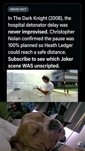 👉 In The Dark Knight (2008) this famous Joker scene was NEVER improvised 💥👀