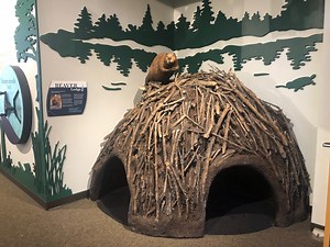 New at Beaver Lake Nature Center: Crawl through a life-size beaver lodge, learn about habitats year-round
