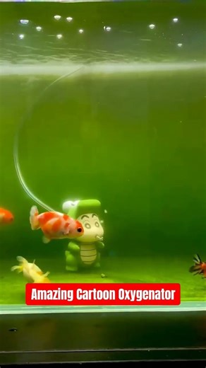 If you feel your aquarium setup is too plain, try this! #AquariumOxygenator #CrayonShinchan