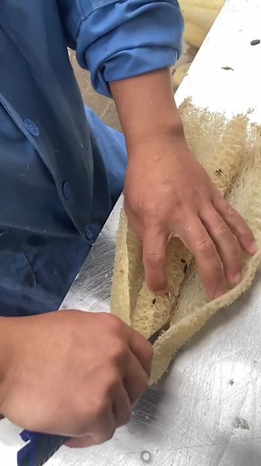 Creative Uses for Old Luffa: Eco-Friendly DIY Ideas