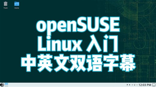 openSUSE：一款出色的 Linux 发行版