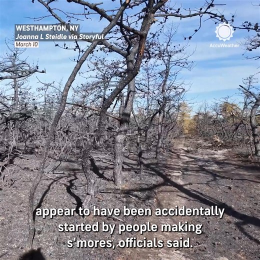 Wind-driven brush fires that burned on New York’s Long Island over the weekend, injuring two firefighters, appear to have been started by people making s’mores in their backyard.⁣ https://bit.ly/4imDs8B | AccuWeather