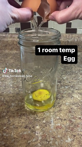 The Homestead Tribe on TikTok