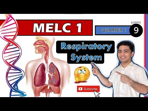 Respiratory System | Week 1-2 | SCIENCE 9 - QUARTER 1 (MELC 1)