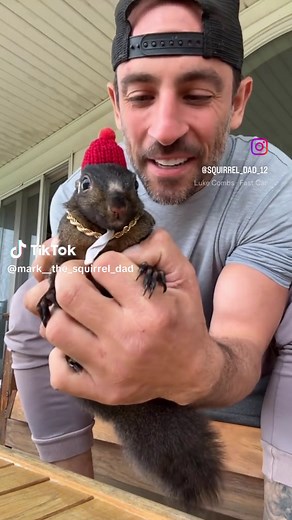 Mark Longo (@mark__the_squirrel_dad)’s videos with original sound - Mark Longo