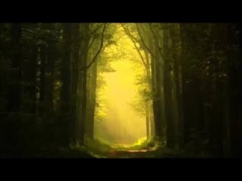 Celtic Spirit Chants and Melodies from the Celtic Lands