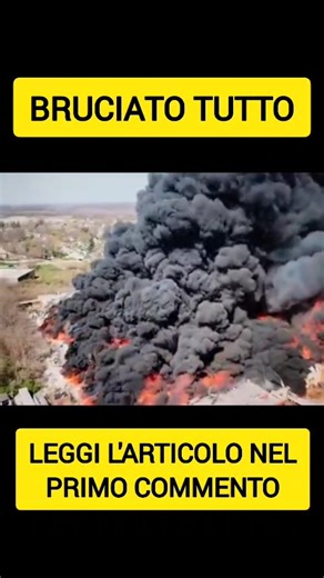 2.8K views | Crazy Cartoon on Reels | Facebook