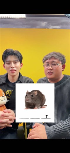 มาเติมคำกันดิปอนด์