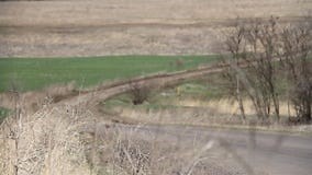 Carri Armati Blindati Militari in Esercitazioni Sul Campo. Stock Footage - Video di uomini, macchina: 177188284