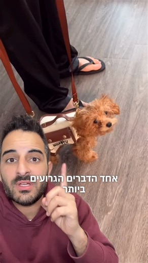 ‎בן אביטל | מאלף כלבים ובי״ס למאלפים‎ on Instagram‎: "זה אחד הדברים הגרועים ביותר שאפשר לעשות לכלב שלכם. אל תפגעו לו בטיולים!!! ———————————— . #האילוףשלבן #בןאביטל #אילוףכלבים #כלבים מאלףכלבים ‏I do not claim any ownership or copyright over this content. ‏The video was sent to me without knowledge of its original source. I share it for informational/entertainment purposes only and will gladly give full credit to the rightful creator upon request. If you are the copyright owner and have any conce