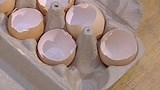 VIEWER TIP: Eggshell Seed Pots - Gardening Australia
