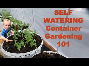 How to Plant SELF WATERING CONTAINERS
