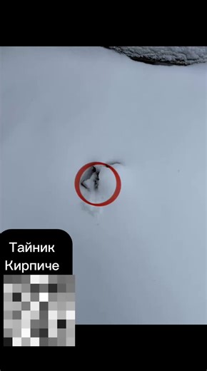 Courier Work Opportunities in Russia and Kazakhstan