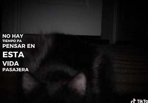 Explore the Glory Playlist: Best CRO Songs