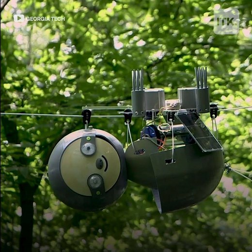 172K views · 182 reactions | The newest resident of the Atlanta Botanical Garden is a robotic sloth殮 that uses ~real~ sloth techniques to monitor its environment to help other animals  | In The Know Innovation | Facebook