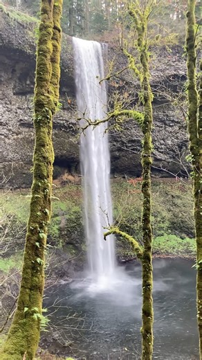 Silver Falls Waterfall #nature #waterfall #short