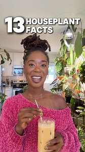 736K views · 41K reactions | 13 Houseplant facts that I bet you did not know! 華易——-#PlantMom #PlantFacts #PlantLover #PlantsMakePeopleHappy#planthistory | Paige Tailyn Johnson | Facebook