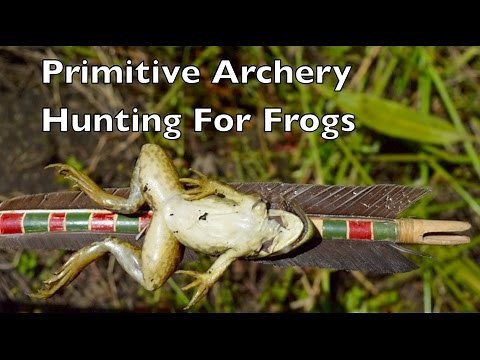 Primitive Archery Hunting For Frogs. Hunting, Cooking, Eating Frog. Backyard Bowyer