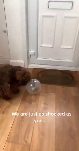 user9504553645377 on TikTok