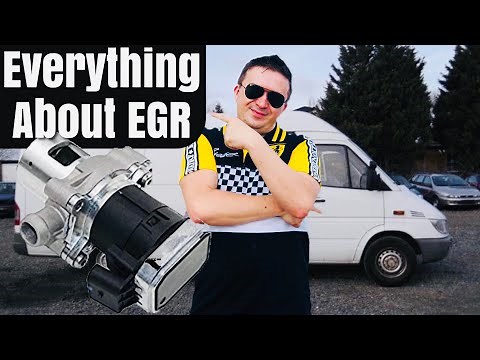 EGR Problem or Turbo Problem? How to self diagnose Your T1N Mercedes Sprinter by ZIMALETA
