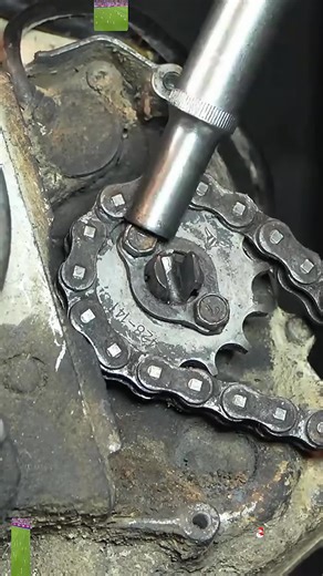 Sign Language Interpreter Controversy on Reddit