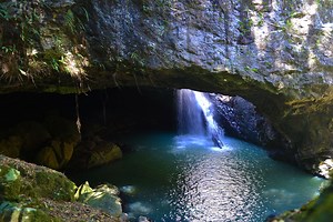 Natural Bridge Springbrook | Must Do Gold Coast