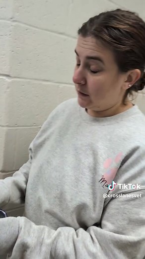 1.9K views · 37 reactions | When you catch your work wife cheating on you #trending #funny #workwife #cheating #vetmed | The Cross Lanes Veterinary Hospital | Facebook