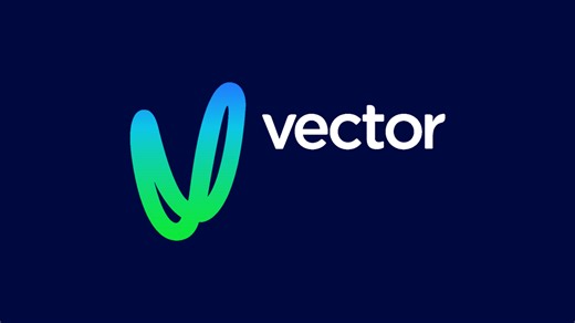 Vector Limited