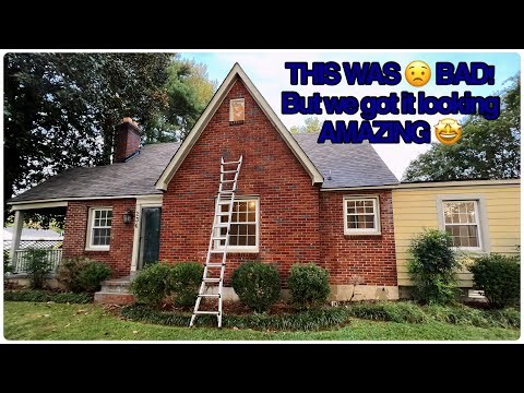 How To Remove Vines From A Brick Home! Power Wash And Soft Wash Jobs And A Few Quotes We Landed 🏆