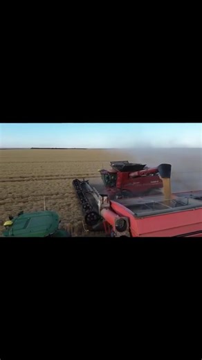 4.4K views · 65 reactions | Harvest North. Thanks to Alex Avard . | Namarang_Farms | Facebook