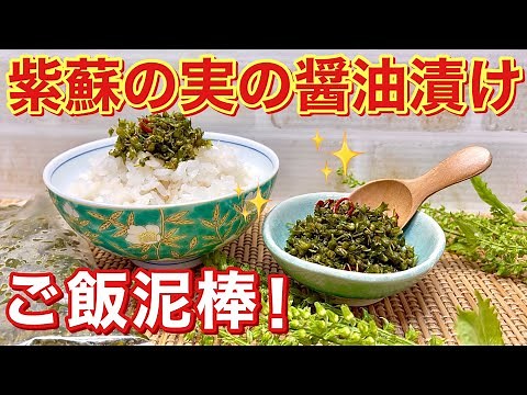 紫蘇（大葉）の実の醤油漬けの作り方♪プチプチ食感と紫蘇の実の爽やかな香りでご飯が最高にすすみます。密閉袋で簡単に出来長期保存も可能です。