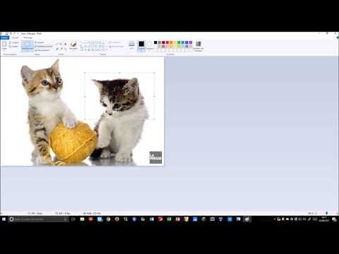 Flouter une image avec Paint