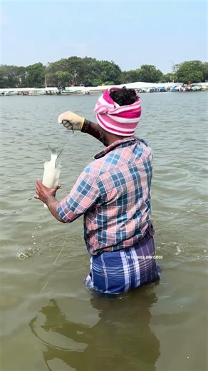 Old Fishermen’s Secret: The White Powder Method! #fishing #mulletfishing