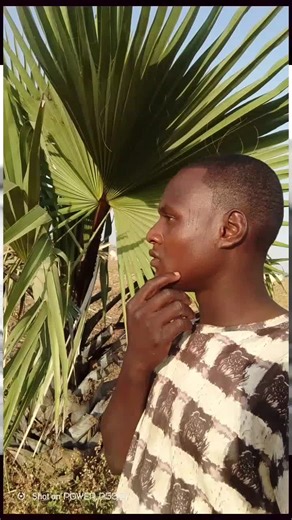 ihsa nbb (@ihsa.nbb)’s videos with original sound - ABBAN M SHAREEF