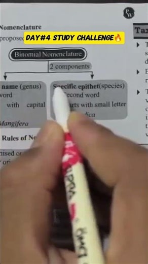 Day#4 #studymotivation #studychallenge