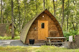 Does Wood Lose Strength Over Time? - Woodworking Trade