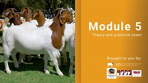 633 reactions · 82 shares | The SA Boer Goat Introductory course will...