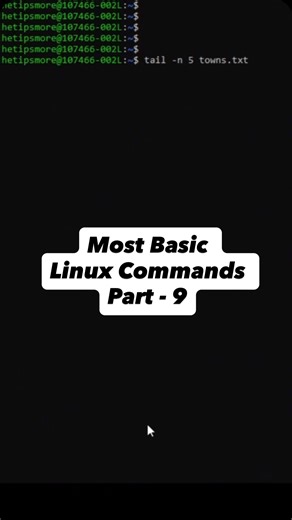 The TipsMore on Instagram: "Most Basic Linux Commands Part 9 | head | tail | grep #linux #coding #devops #programming #fyp"